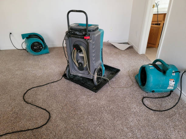 Best 24-hour water damage restoration  in Abingdon, VA