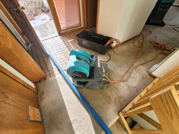 Best Basement water damage restoration  in Abingdon, VA