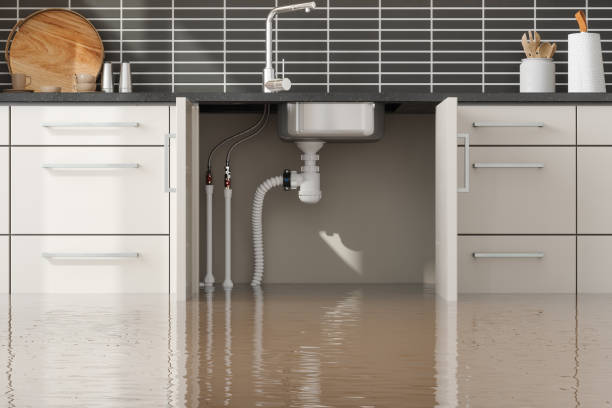 Water damage restoration experts in VA