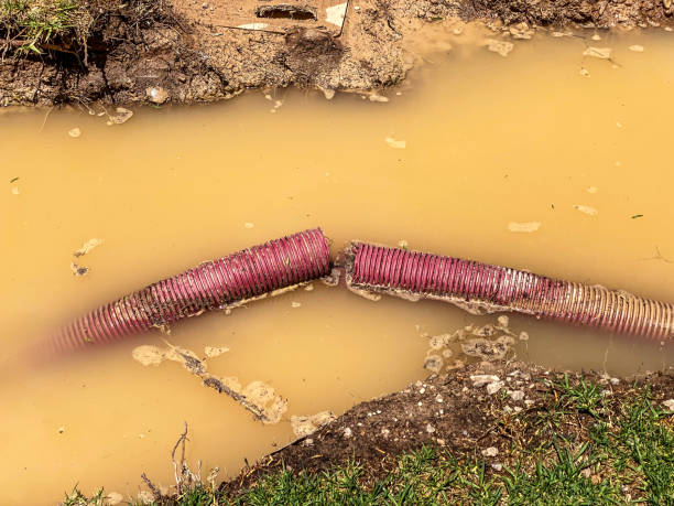 Best Commercial water damage restoration  in Abingdon, VA